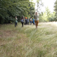 Wald-Kinder-Zeit.png